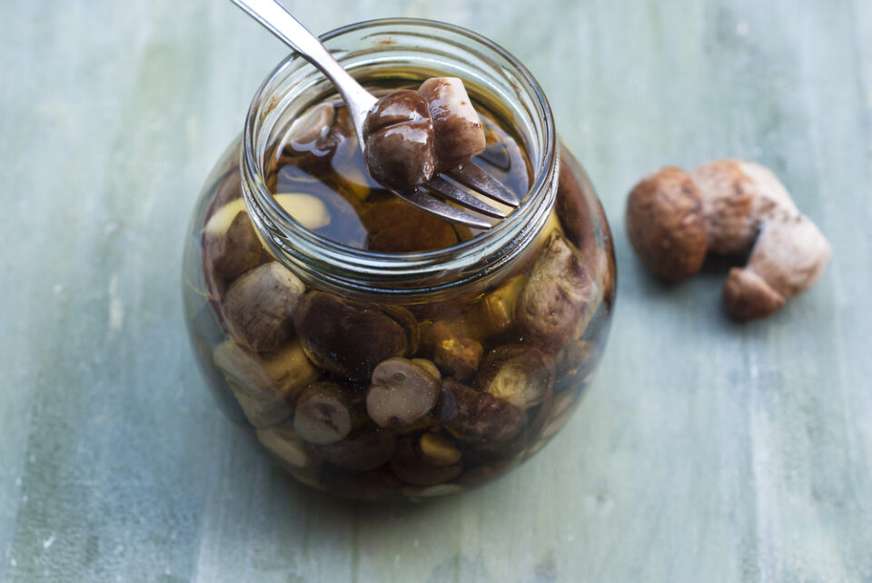 Cravings 101 Can You Eat Truffles When Pregnant?