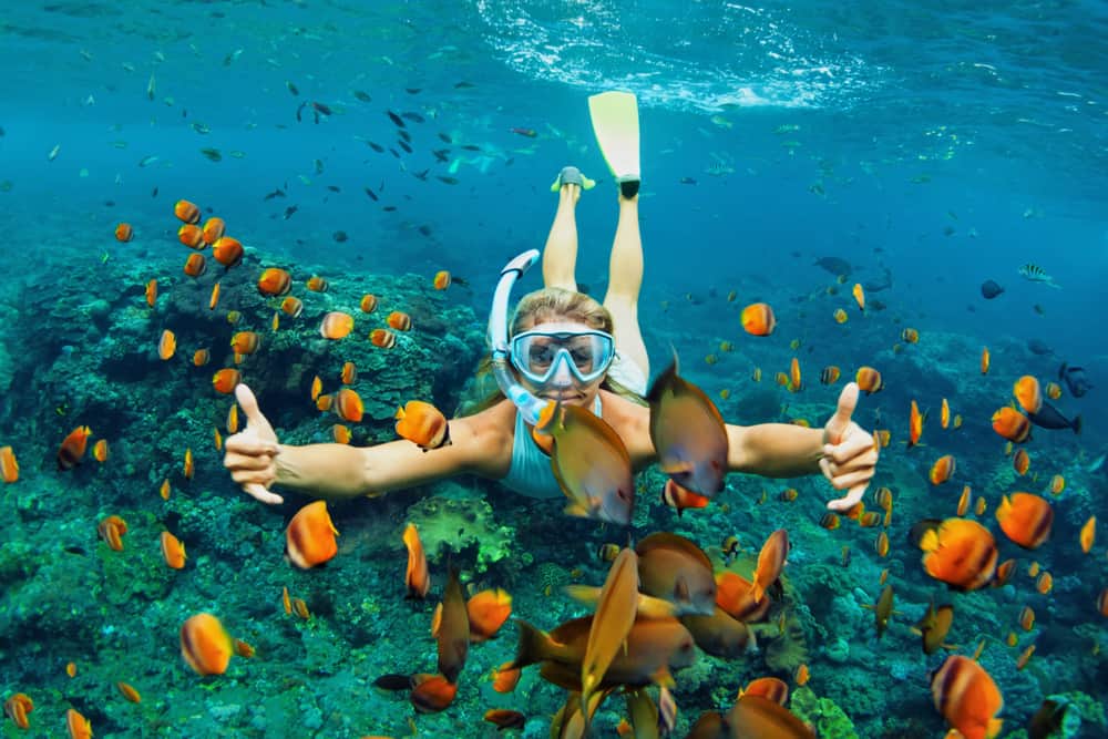 Can You Snorkel While Pregnant? 10 Tips To Keep In Mind