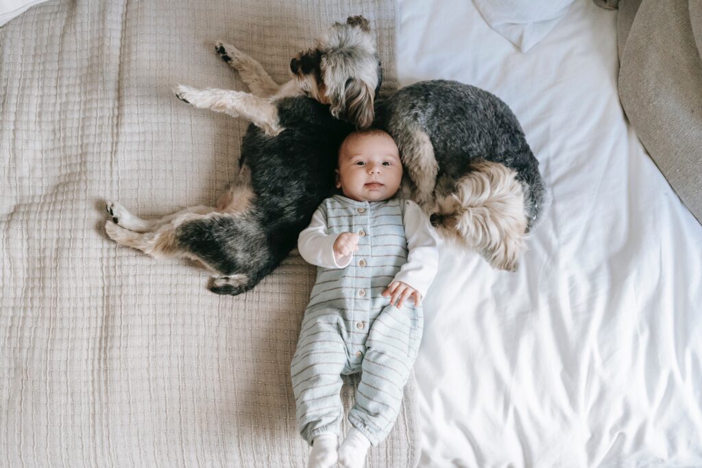 Perro obsesionado con un recién nacido: Adorable o preocupante