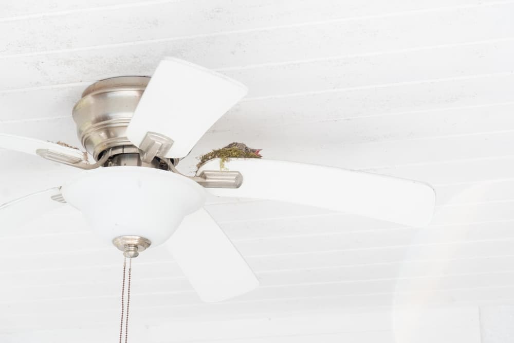 Will A Ceiling Fan Make A Newborn Sick? Is It A Good Idea?