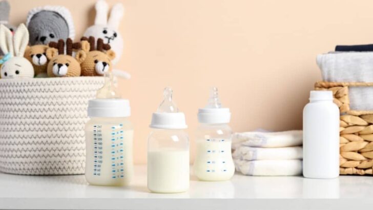 6 Baby Bottle Storage Ideas That Will Make Your Life Easier