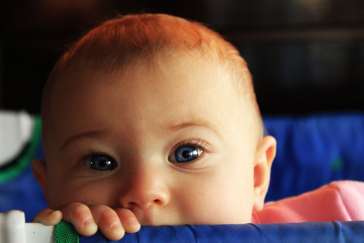 Baby kaut an einem Kinderbett: Spielt es oder zahnt es?