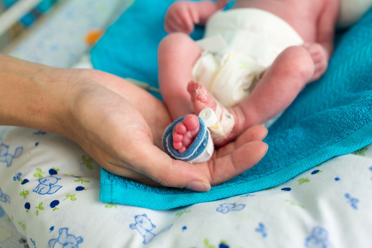 Nanit Vs. Owlet: The Battle Of The Smart Baby Monitors